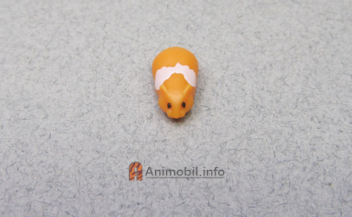 Some New Animals Plus Photos