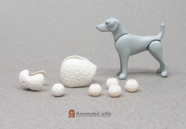 Some New Animals Plus Photos