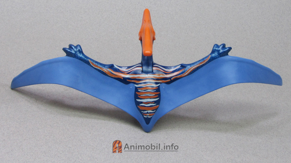 Some New Animals Plus Photos