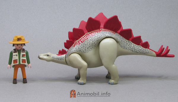 Some New Animals Plus Photos