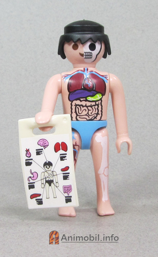 Boys Series 29 Six Anatomical Model