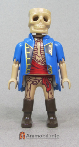 Boys Series 29 One Skeleton Pirate