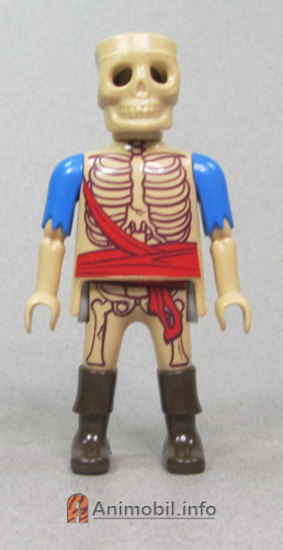 Boys Series 29 One Skeleton Pirate