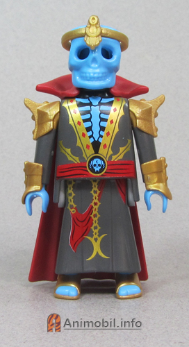 Boys Series 30 One Blue Skeleton Wizard