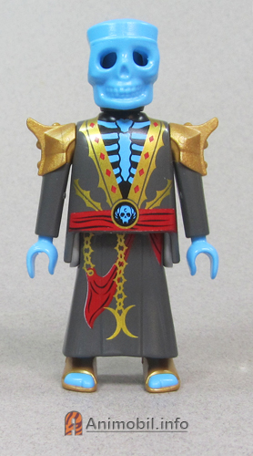 Boys Series 30 One Blue Skeleton Wizard