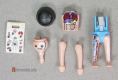 Boys Series 29 Six Anatomical Model