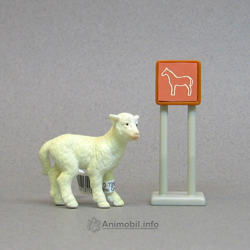 Lamb Standing 2