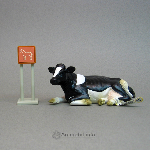 Holstein Cow Laying
