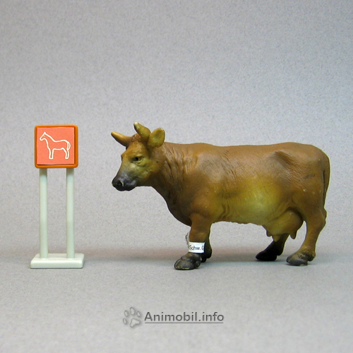 Brown Cow Standing