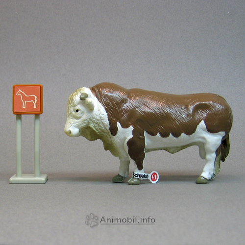 Bull Brown and White