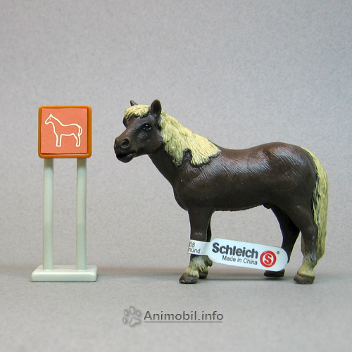 Icelandic Horse darker