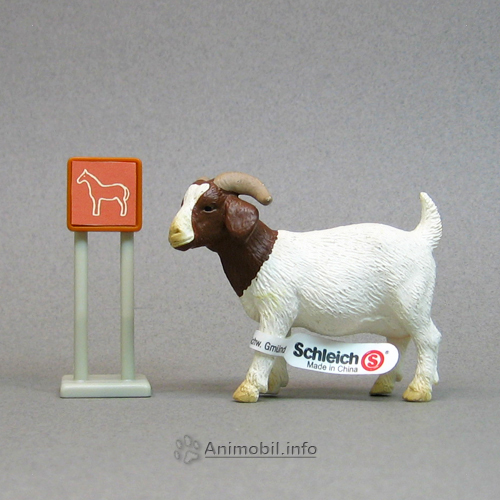 Boer Nanny Goat