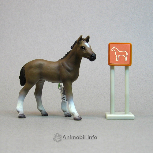 Hanoverian Foal 2