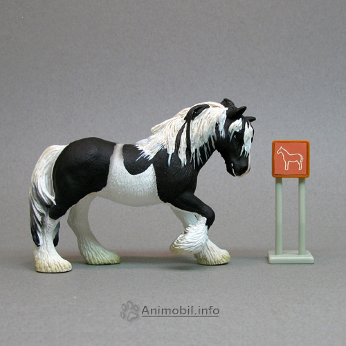 Tinker Mare