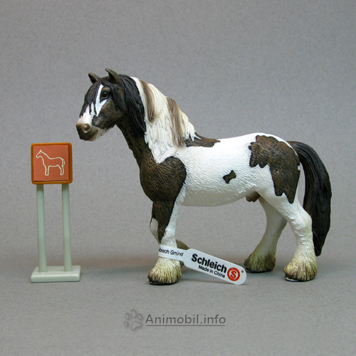 Tinker Stallion