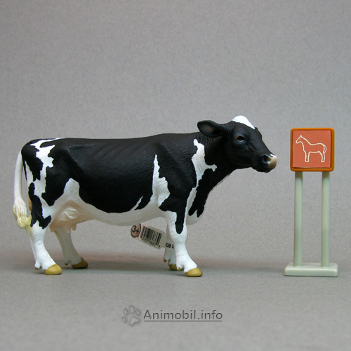 Holstein Cow 2