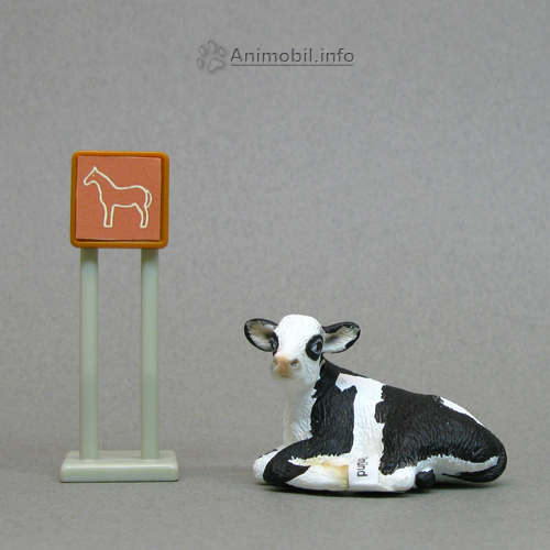 Holstein Calf Laying