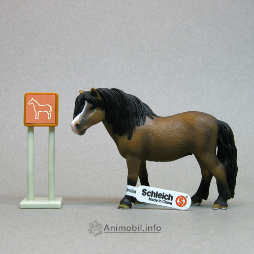 Dartmoor Pony
