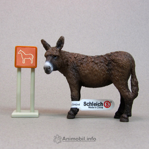 Poitou Donkey