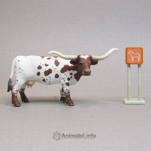 Texas Longhorn Cow