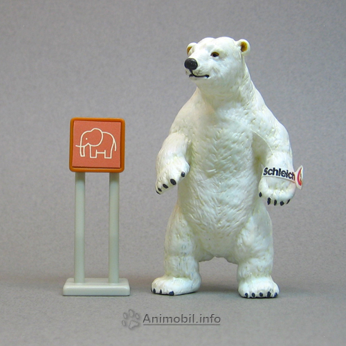 Polar Bear Male Standing Up