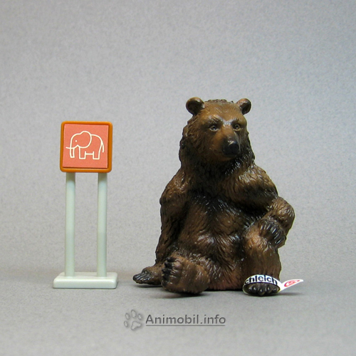 Grizzly Female Sitting