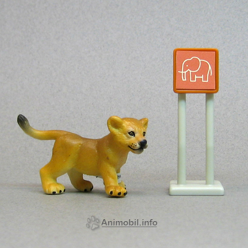Lion Cub Standing
