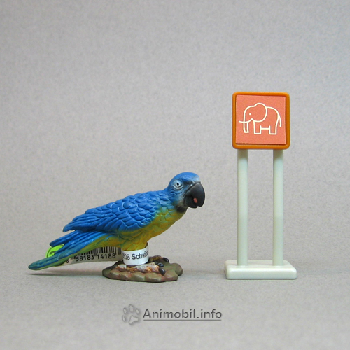 Parrot Blue