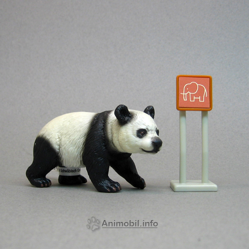 Giant Panda Female