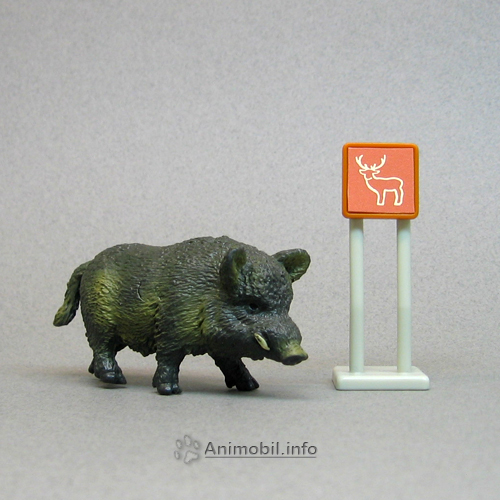 Wild Boar 1 b
