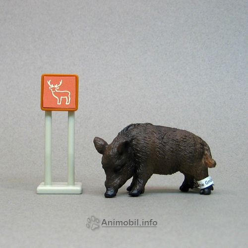 Wild Sow 1