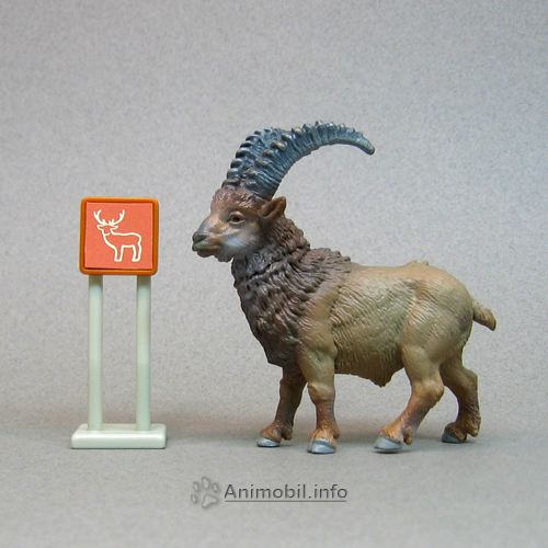 Ibex 1