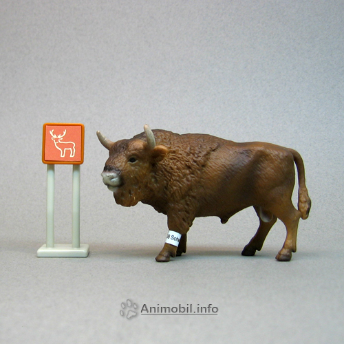 European Bison