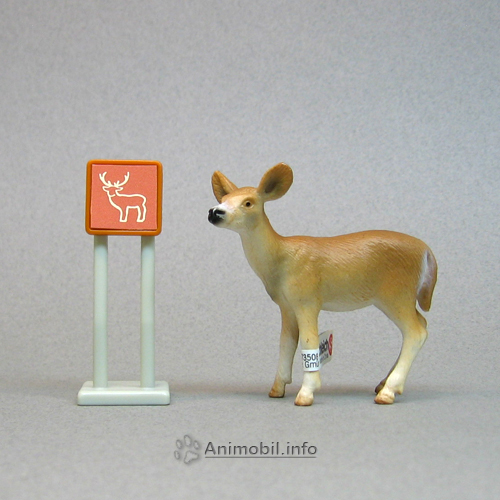 White-Tailed Doe