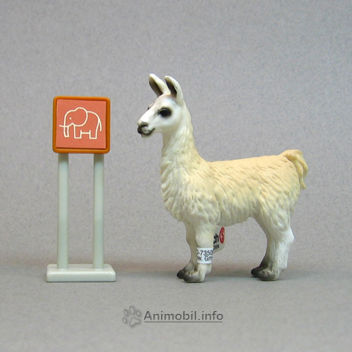 Llama