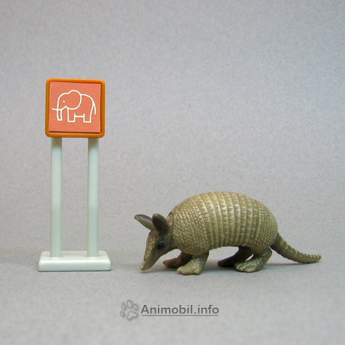 Armadillo