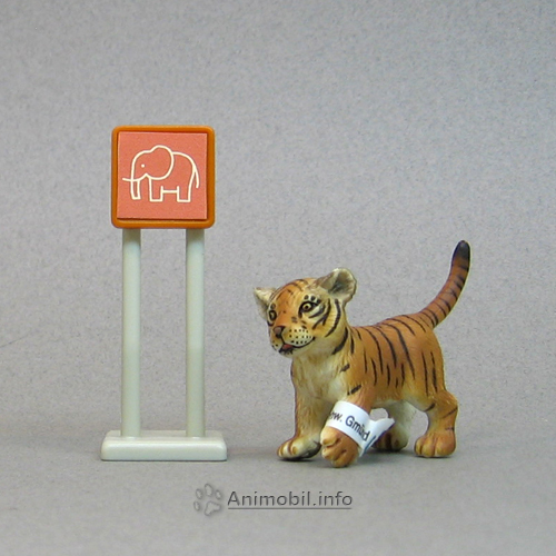 Tiger Cub Playing