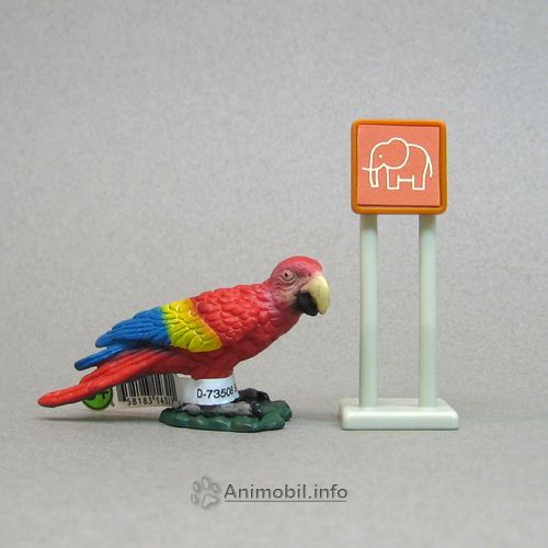 Parrot Red