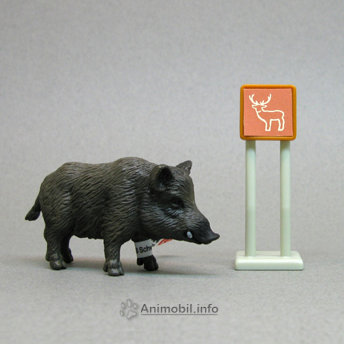 Wild Boar2