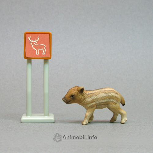 Young Boar Standing