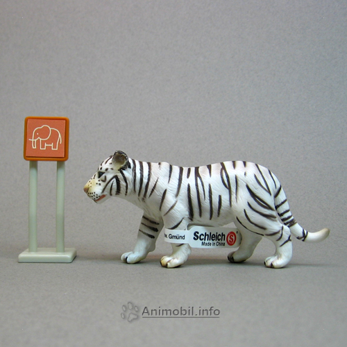 Tigress White
