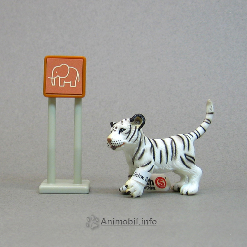 Tiger Cub White