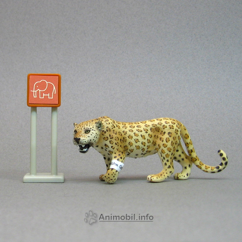 Leopard 3