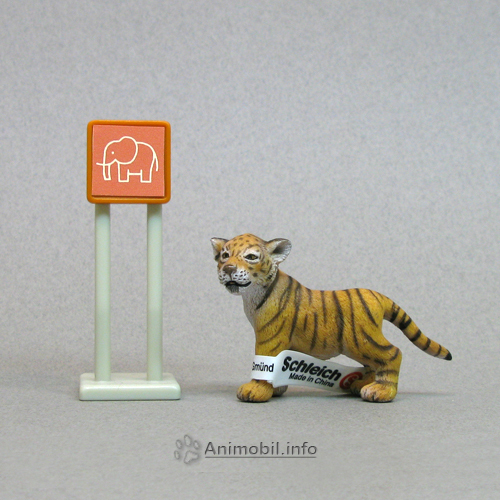Tiger Cub Standing 2
