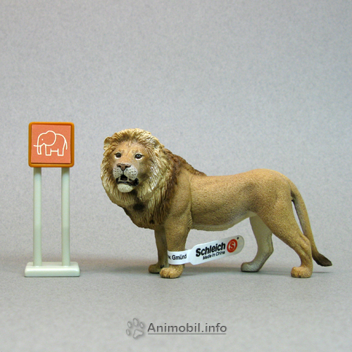 Lion 4