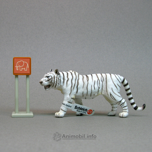 Tiger White 2