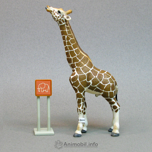Giraffe Male 3