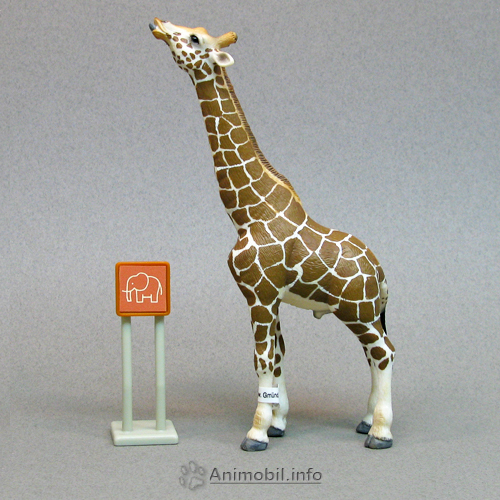 Giraffe Male 3