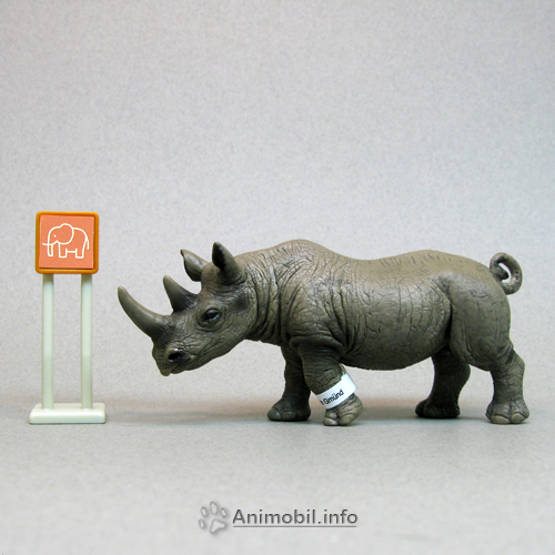 African Black Rhinoceros Male