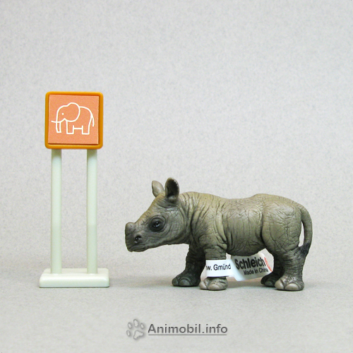 African Black Rhinoceros Calf
